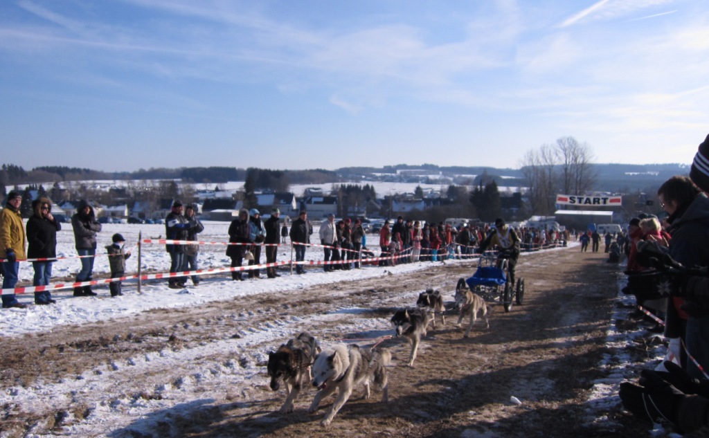 Schlittenhunderennen